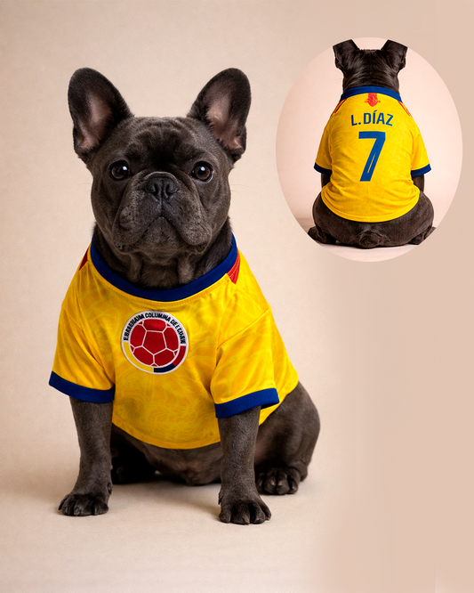 Camiseta Colombia