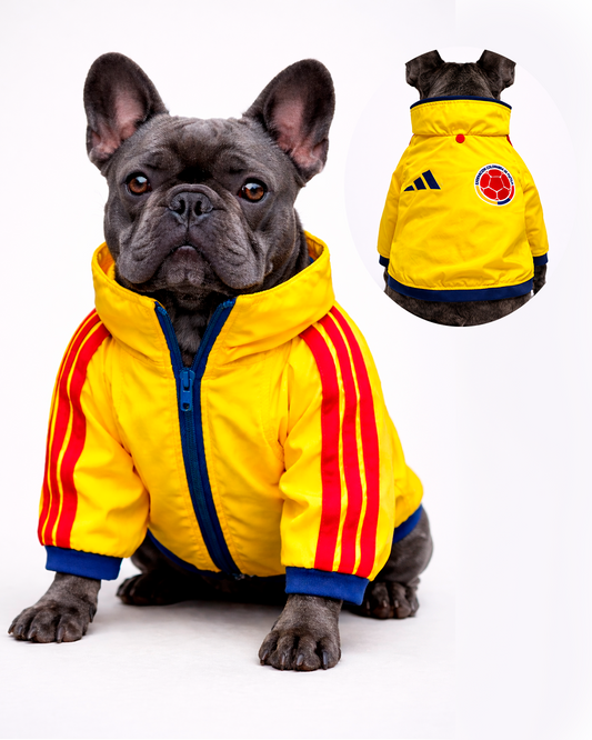 Chaqueta Colombia
