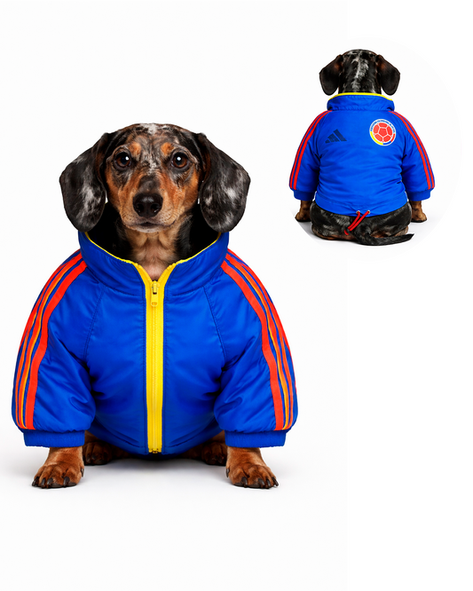 Chaqueta Colombia