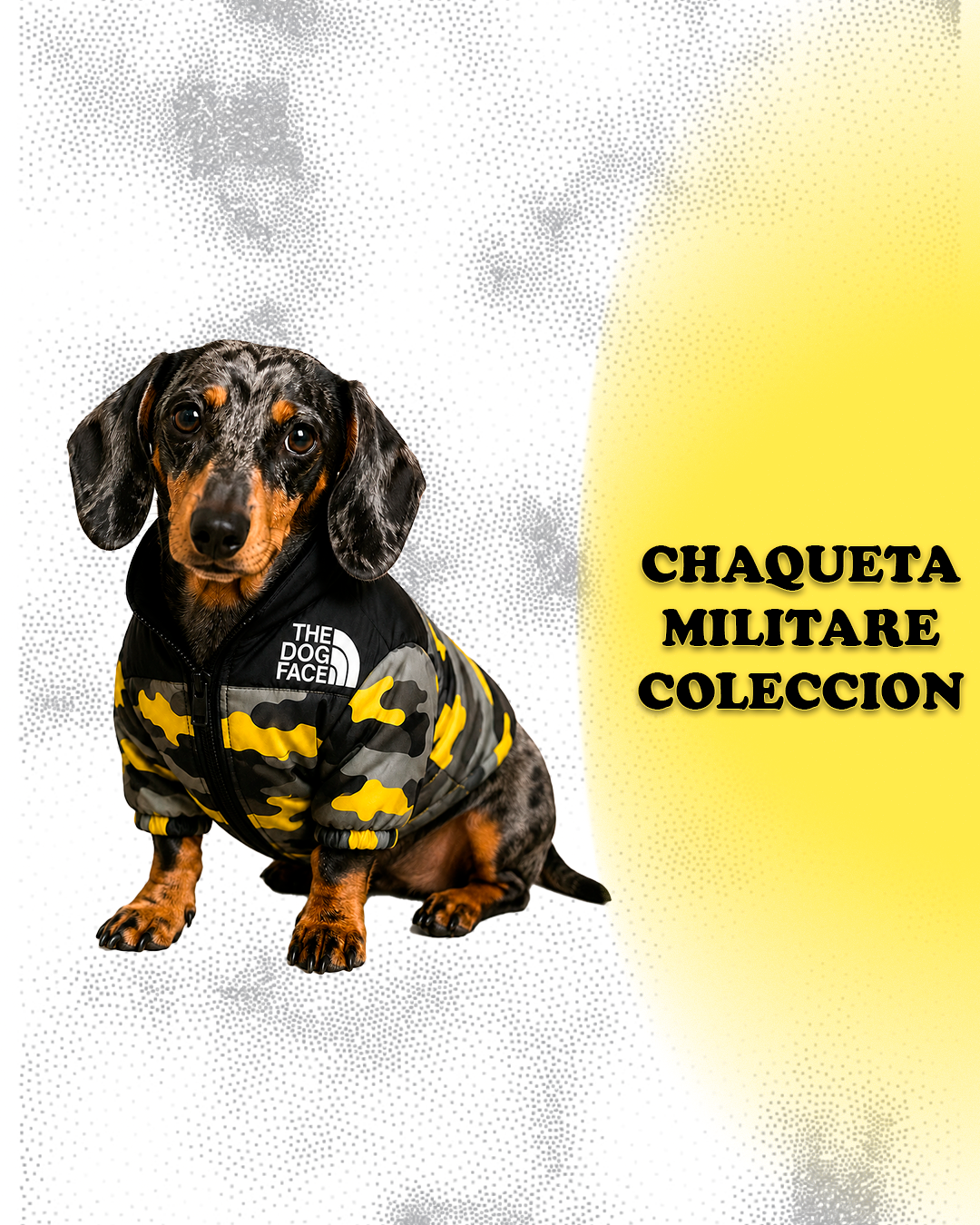 Chaqueta Militare Coleccion