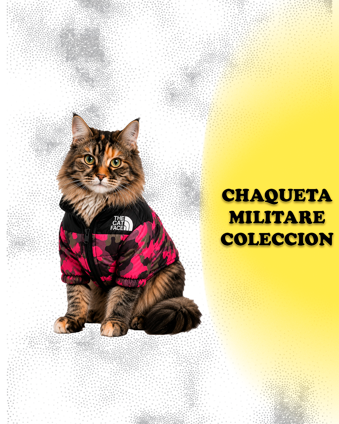 Chaqueta Militare Coleccion