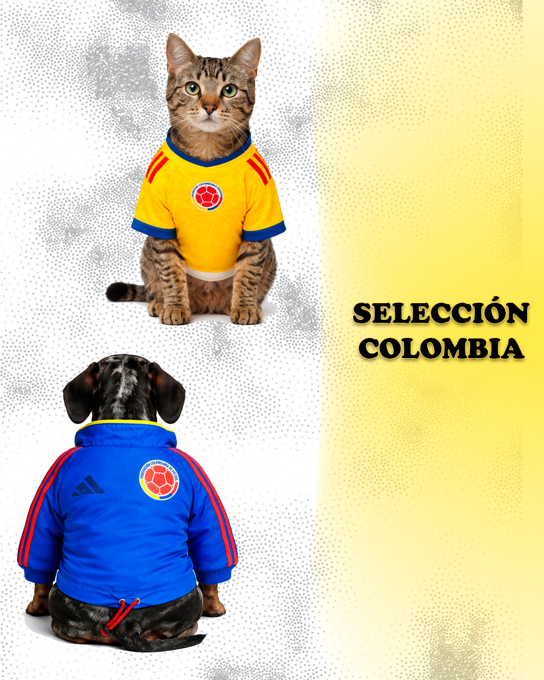 Selección Colombia