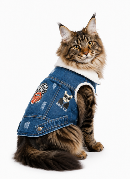 Chaleco Jean