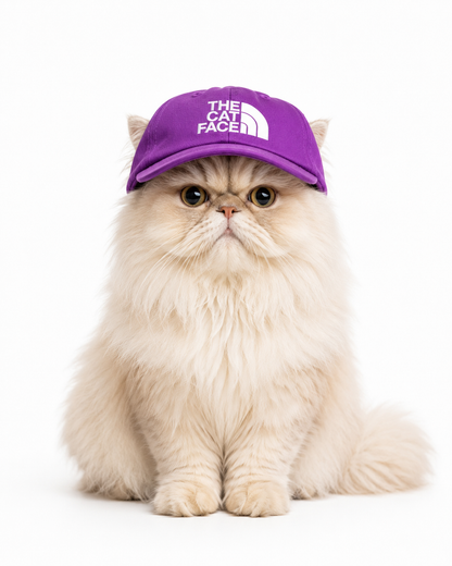 Gorras