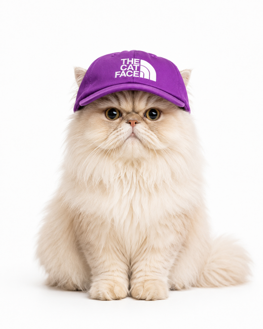 Gorras