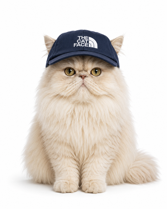 Gorras