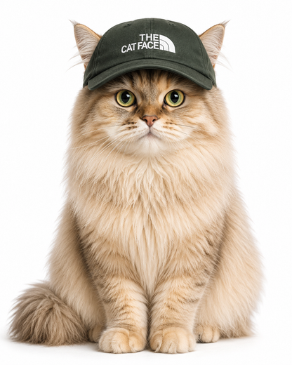 Gorras