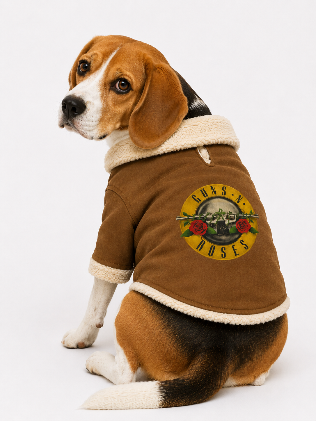Chaqueta Aviador