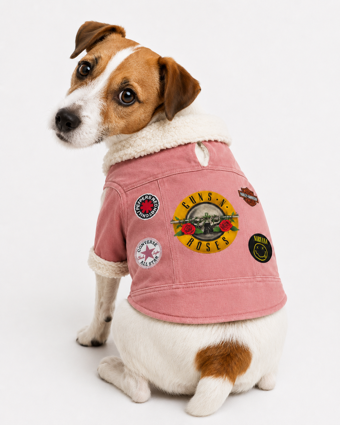 Chaqueta Aviador