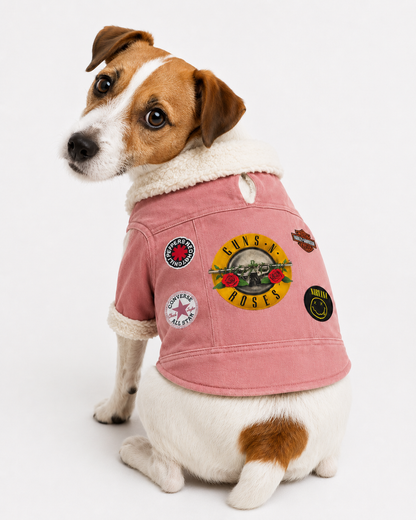 Chaqueta Aviador