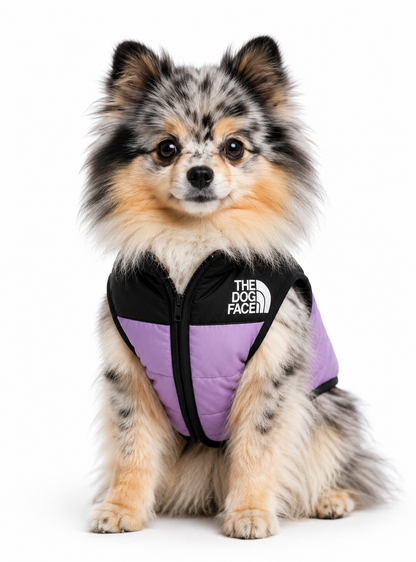 Chaleco NorthFace