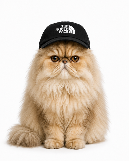 Gorras