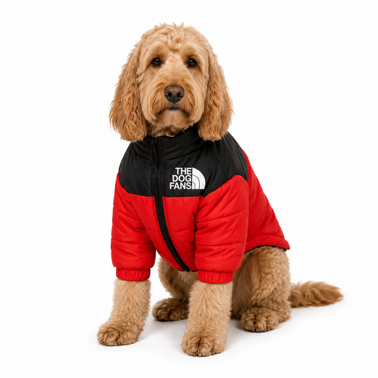 Chaqueta NorthFace