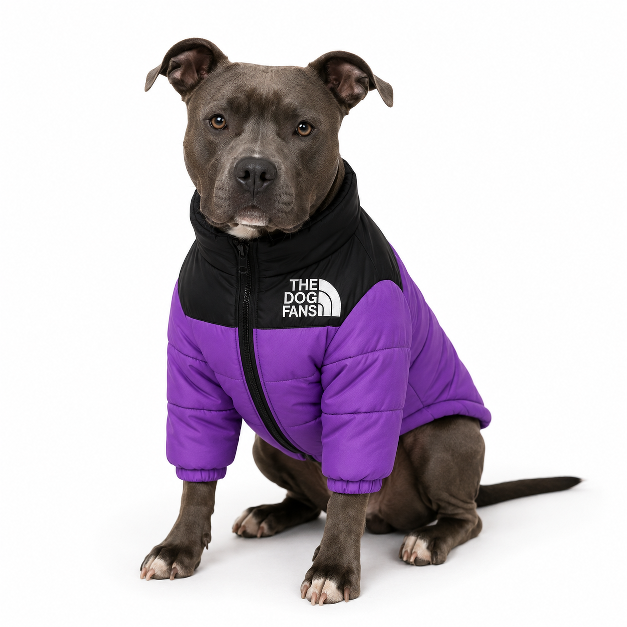 Chaqueta NorthFace