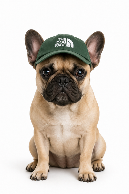 Gorras