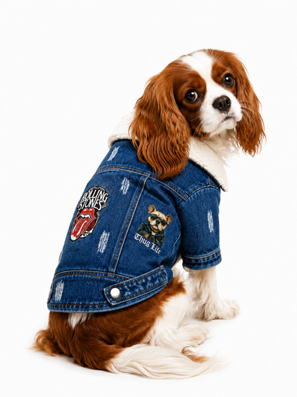 Chaqueta Jean
