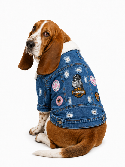 Chaqueta Jean