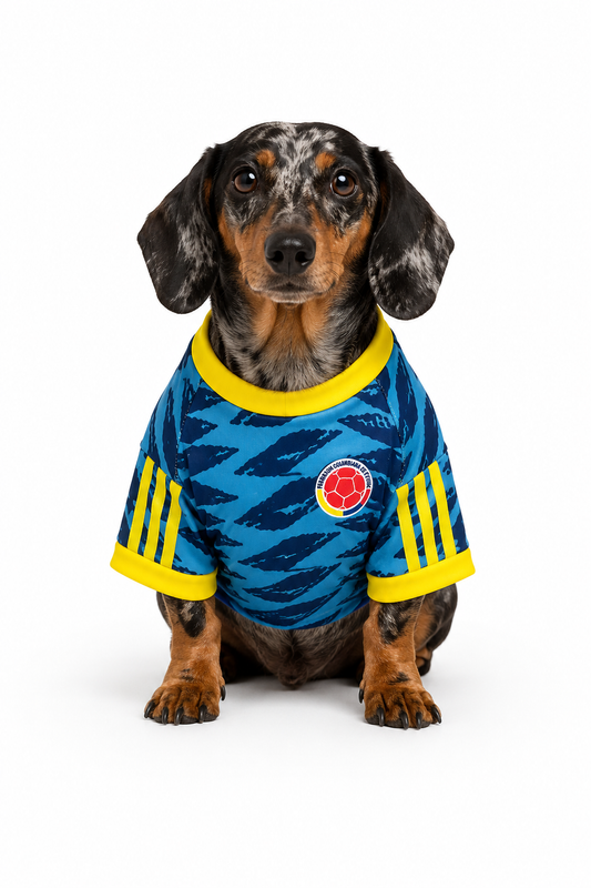 Camiseta Colombia Visitante