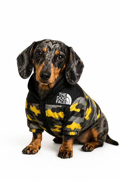 Chaqueta Militare Colección
