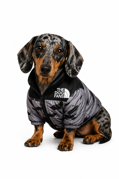Chaqueta Militare Colección