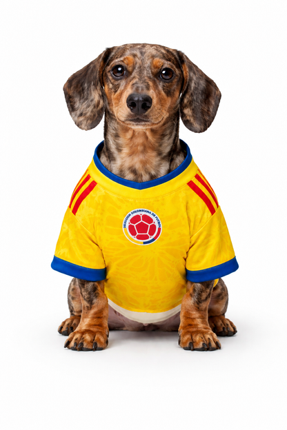 Camiseta Colombia