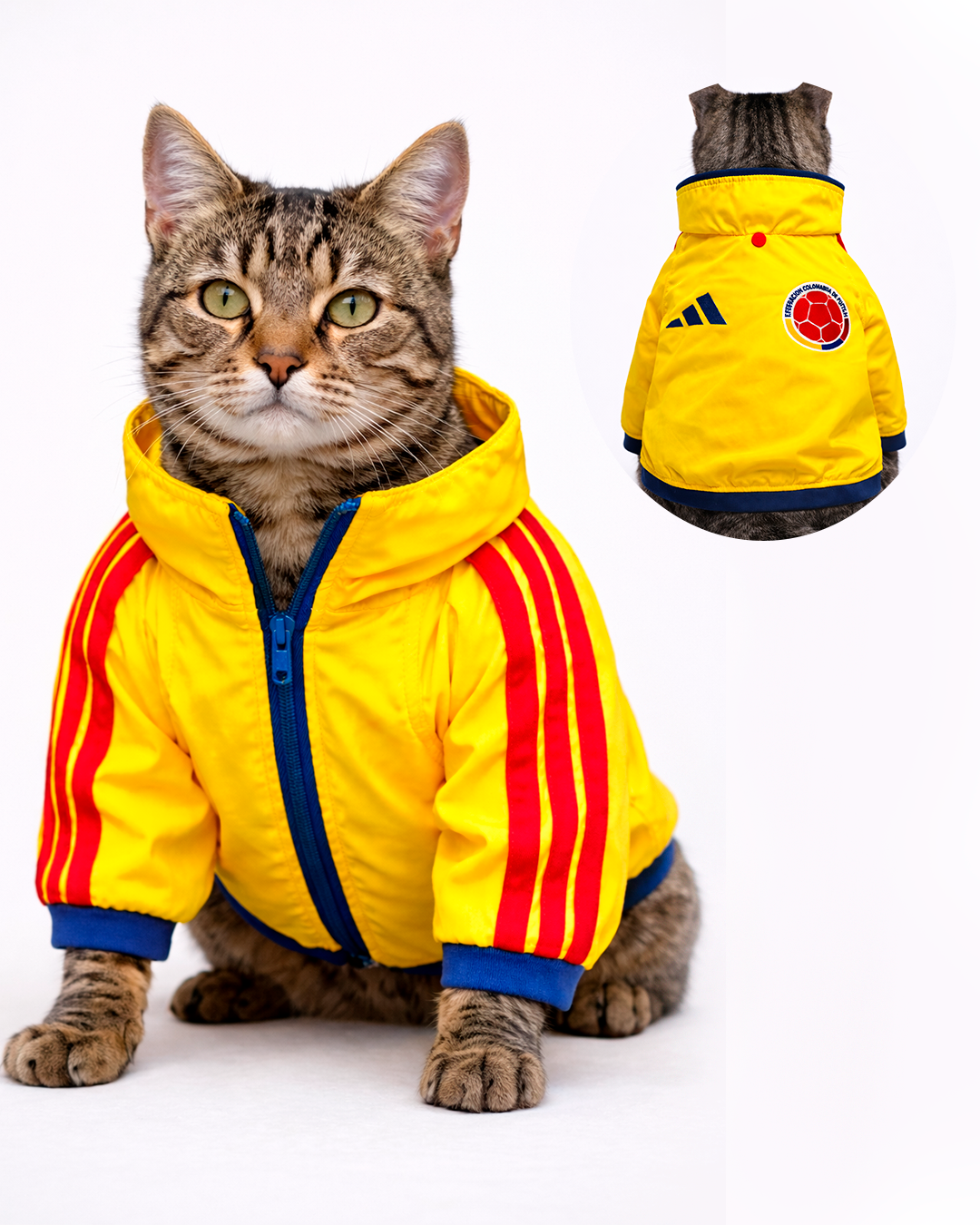 Chaqueta Colombia