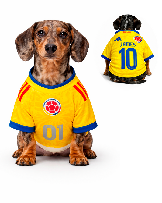 Camiseta Colombia