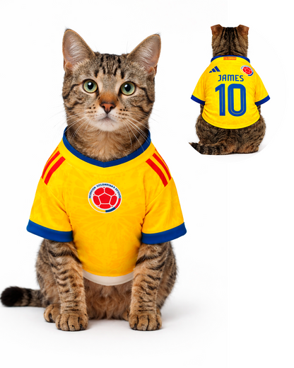Camiseta Colombia