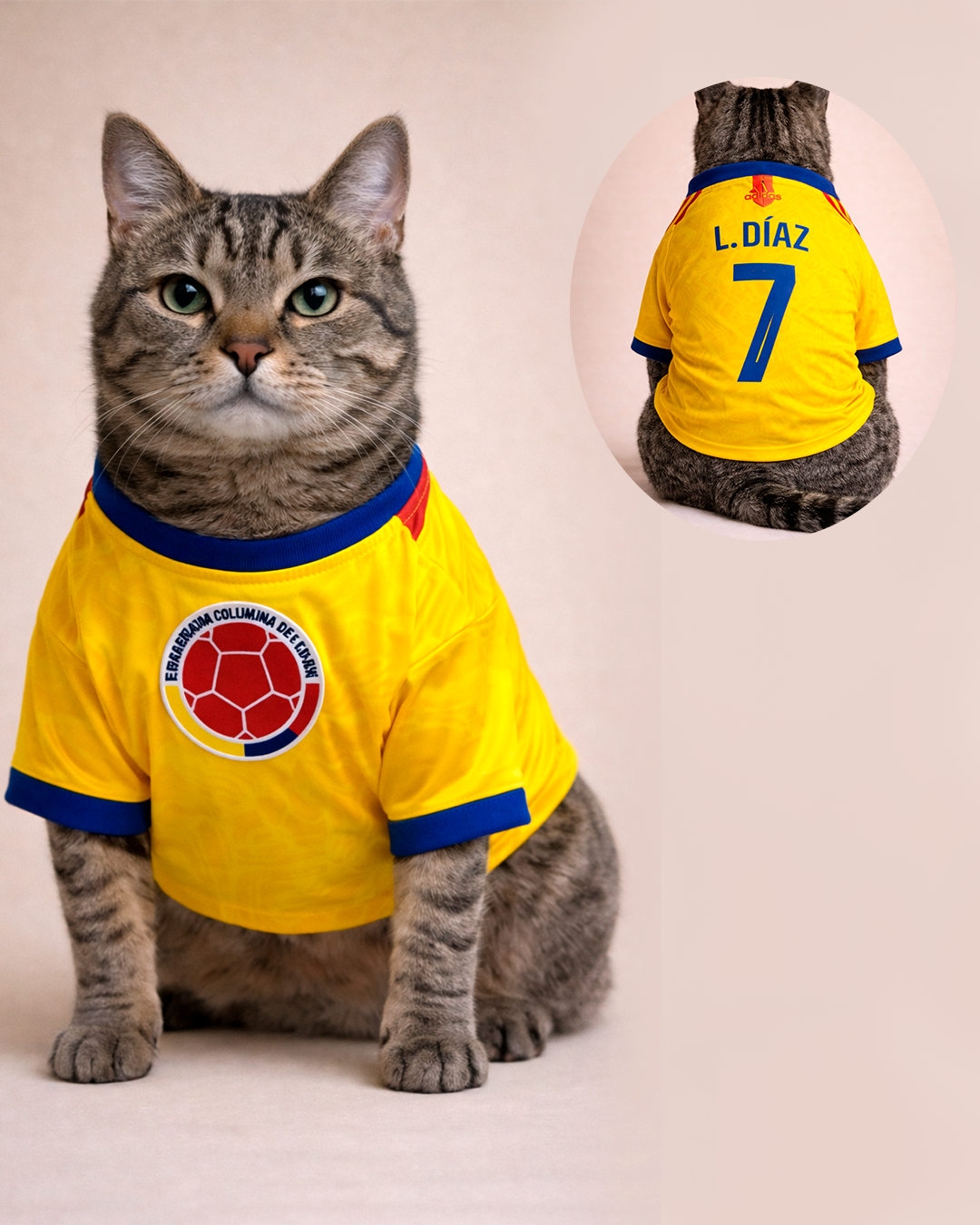 Camiseta Colombia