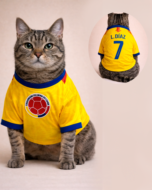 Camiseta Colombia